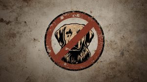 A vintage-style sign shows a dogs head inside a red prohibition symbol on a weathered, brown background, indicating that dogs are not allowed.